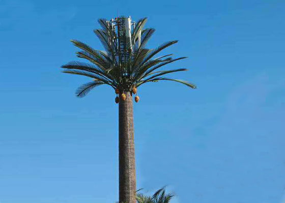 Monopole 30m Camouflaged Palm Tree Cell Tower ISO9001 Approved